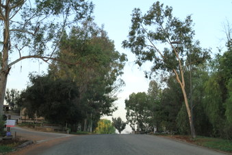 Enlarge photo 10