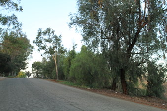 Enlarge photo 9