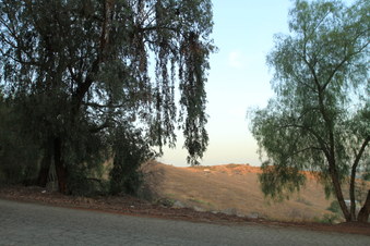 Enlarge photo 7