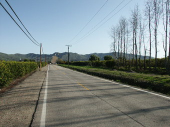 Cummings Rd. N of Telegraph Rd.