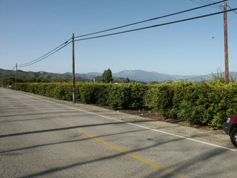 Enlarge photo 7
