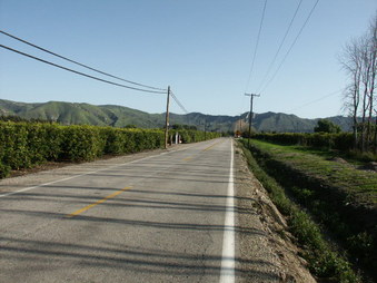 Enlarge photo 9