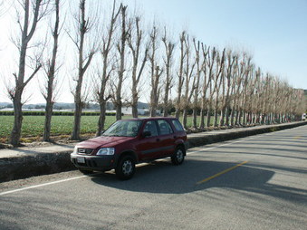 Enlarge photo 5