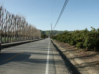 Enlarge photo 6