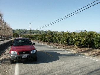 Enlarge photo 11