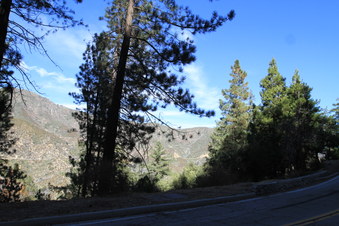 Enlarge photo 20