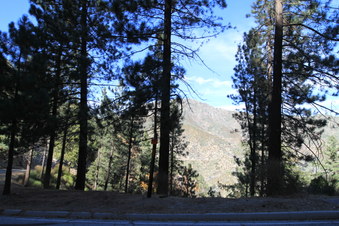 Enlarge photo 19