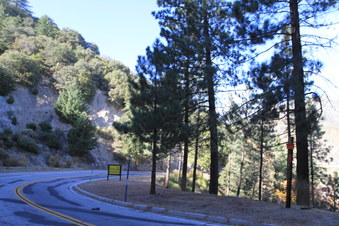 Enlarge photo 18