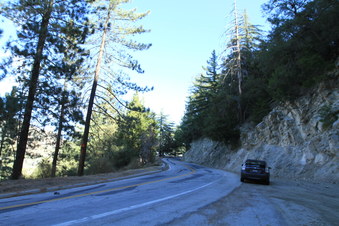 Enlarge photo 15