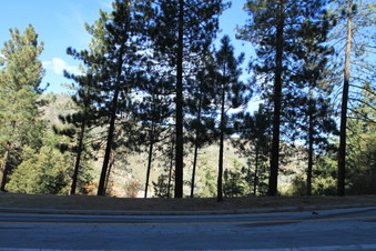 Enlarge photo 12