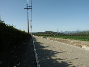 Olive Rd. S of Foothill Rd.
