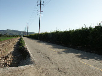 Enlarge photo 11
