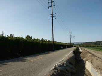 Enlarge photo 12