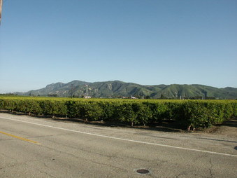 Enlarge photo 6