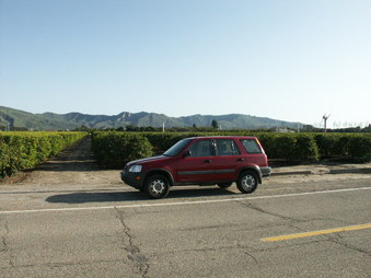 Enlarge photo 7