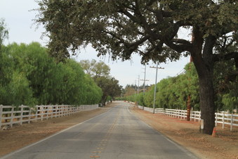 Enlarge photo 11