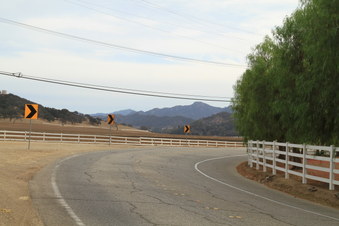 Enlarge photo 22