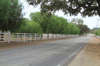 Enlarge photo 23