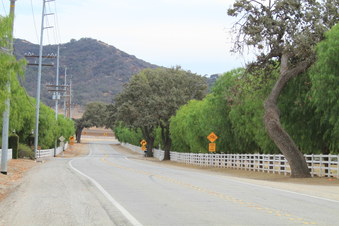 Enlarge photo 39