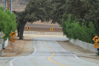 Enlarge photo 41