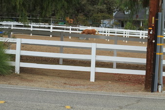 Enlarge photo 44