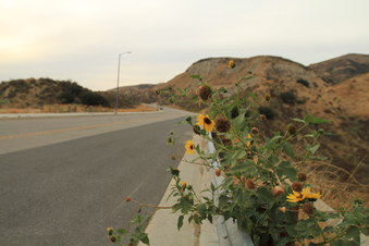 Enlarge photo 6