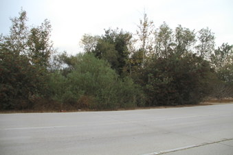Enlarge photo 15
