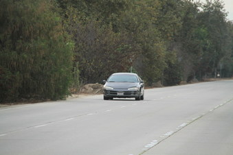 Enlarge photo 19