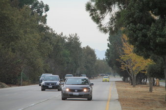 Enlarge photo 23