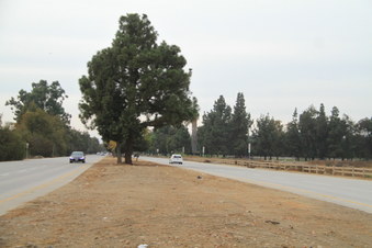 Enlarge photo 31