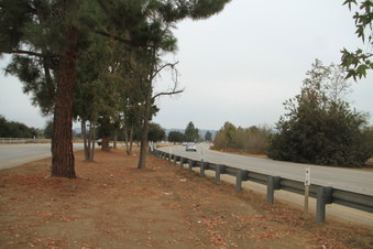 Enlarge photo 35