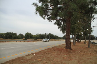 Enlarge photo 36