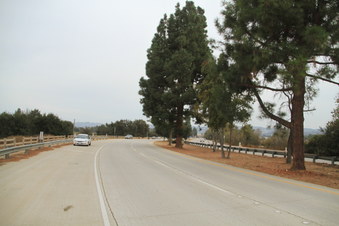 Enlarge photo 39