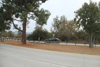 Enlarge photo 40