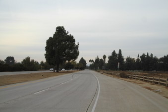 Enlarge photo 41