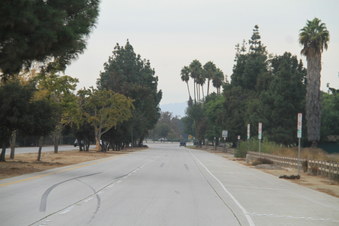 Enlarge photo 42