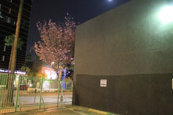 Enlarge photo 41