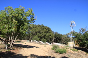 Enlarge photo 27