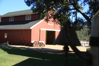Enlarge photo 35