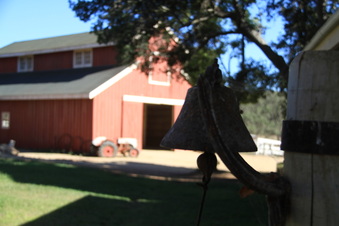 Enlarge photo 36