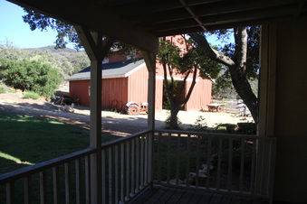 Enlarge photo 41