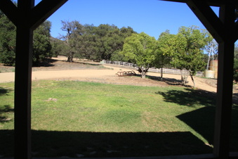 Enlarge photo 42