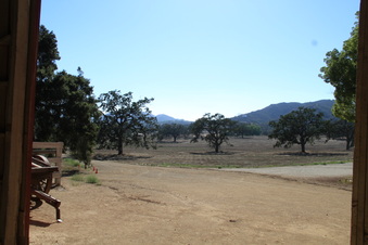 Enlarge photo 50