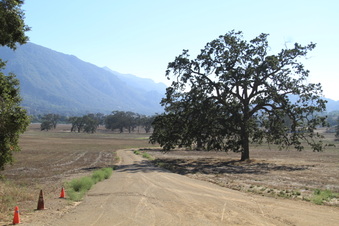 Enlarge photo 51