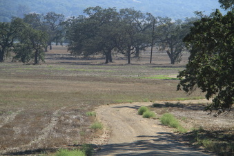 Enlarge photo 52