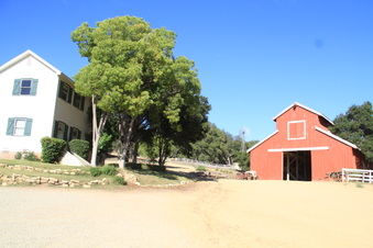 Enlarge photo 54