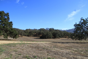 Enlarge photo 61