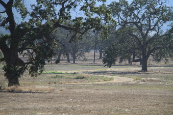Enlarge photo 63
