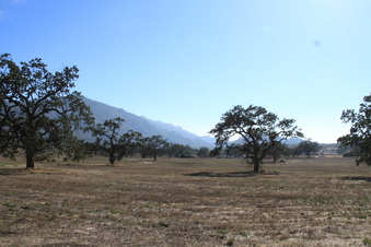 Enlarge photo 64