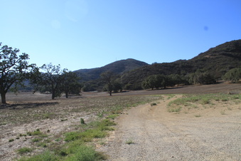 Enlarge photo 65